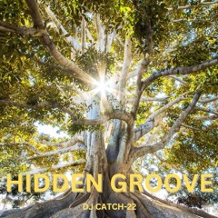 Hidden Groove