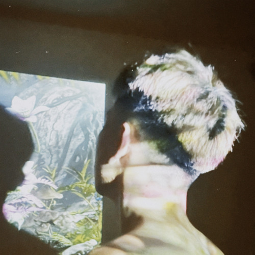 cầm đầu chương dương no 1