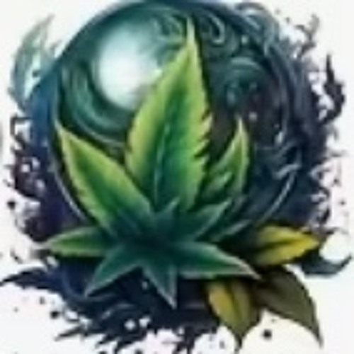 Rokin Rick prod. (14papii)