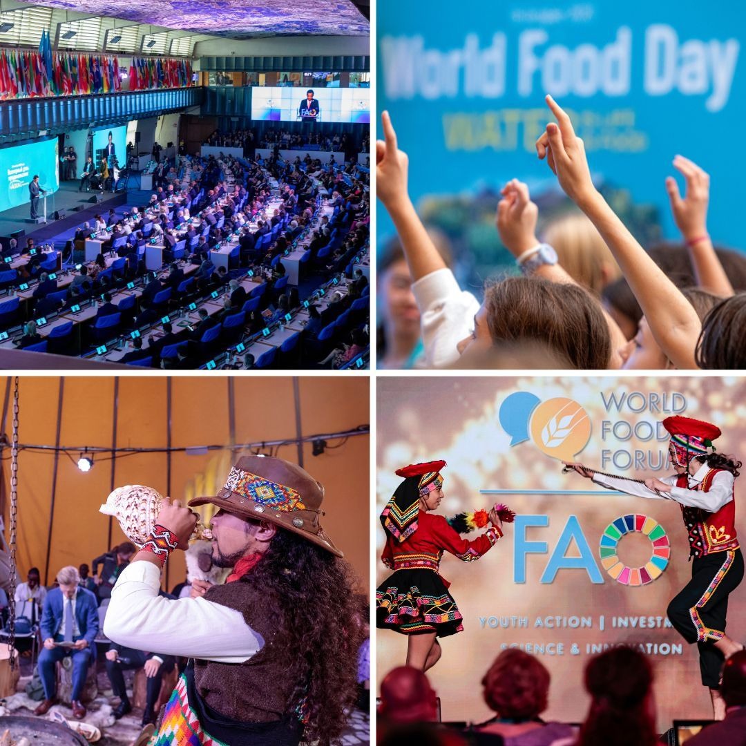 FAO Brief - 20 October 2023