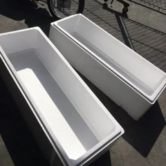 She Got It - Thái Hoàng