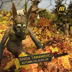 Premiere: Sinisa Tamamovic - Illegal Dance [Night Light]