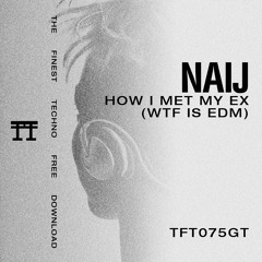 FREE DOWNLOAD: NAIJ - HOW I MET MY EX (WTF IS EDM) [TFT075GT]