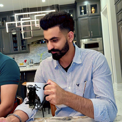 6l Tarsem jassar