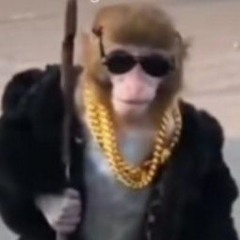 MONKISTEP