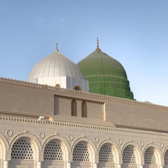 إِنَّ أَصْحَابَ الْجَنَّةِ الْيَوْمَ فِي شُغُلٍ فَاكِهُونَ | محمد صقارة