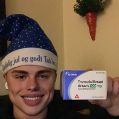 dol under træet ft legobygger123