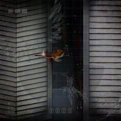 DISPIRITED DIVINITY +ACZF [PROD. POISONED]