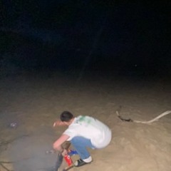 Night Beach