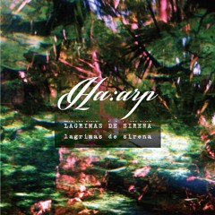 Lagrimas De Sirena (Original Mix)