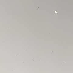 ⚫