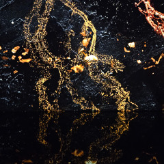 Set Lorganism (Indus/acid/hard techno)