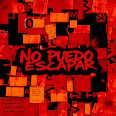 No Puedo Escapar (feat. little homie)