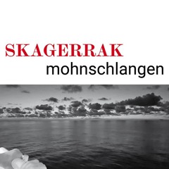 SKAGERRAK :: coronahimmel