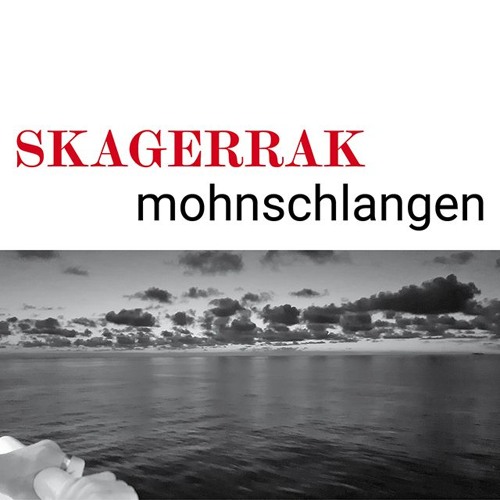 SKAGERRAK :: cluster - live in linz