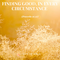 Finding Good, In Every Circumstance (Proverbs 16:20)