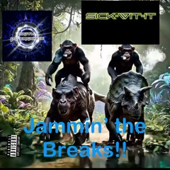 Sick Wit It and DJDigital Divergence