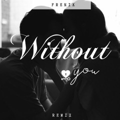 Avicii - Without You (Frenik Remix)