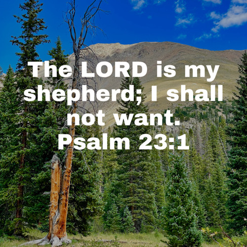 Stream Psalm 23 - The Shepherd Psalm by The Other Spurgeon | Listen ...