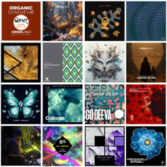 ORGANIC DOWNTIME 04 NOVEMBER 2025 - CROSSLAND MUSIC RADIO - Deep Organic Melodic Progressive House & EDM