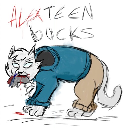 alexteen-bucks
