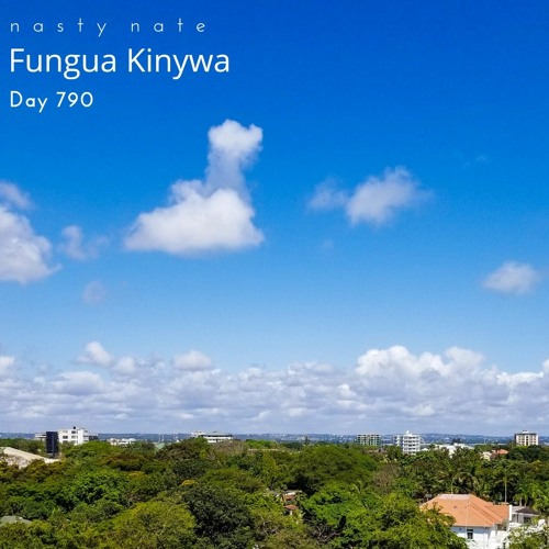 n a s t y  n a t e - Fungua Kinywa. Day 790 - SOULFUL + AFRO HOUSE