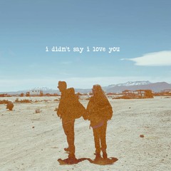 Divianne - I didn’t say I love you