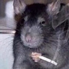 this is currently the truest expression of myself (interlude)