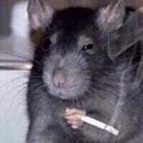 this is currently the truest expression of myself (interlude)
