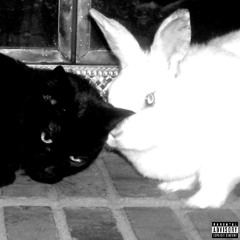 bunny [PROD.ARCZI]