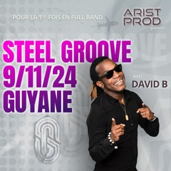 STEEL GROOVE - MOBILIZE