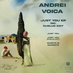 Andrei Voica - Just You
