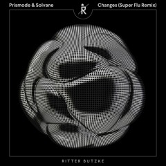 Changes (Super Flu Remix) [feat. Max Joni]