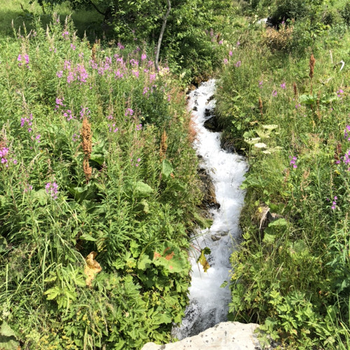 Au Fil De L’Eau