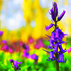 Jo Nevark mix 13/10/25