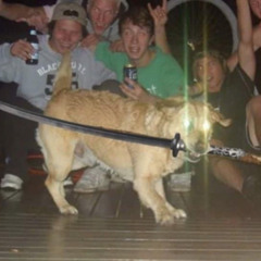 T. Danny - SZÍVTIPRÓ (Official Music Video)