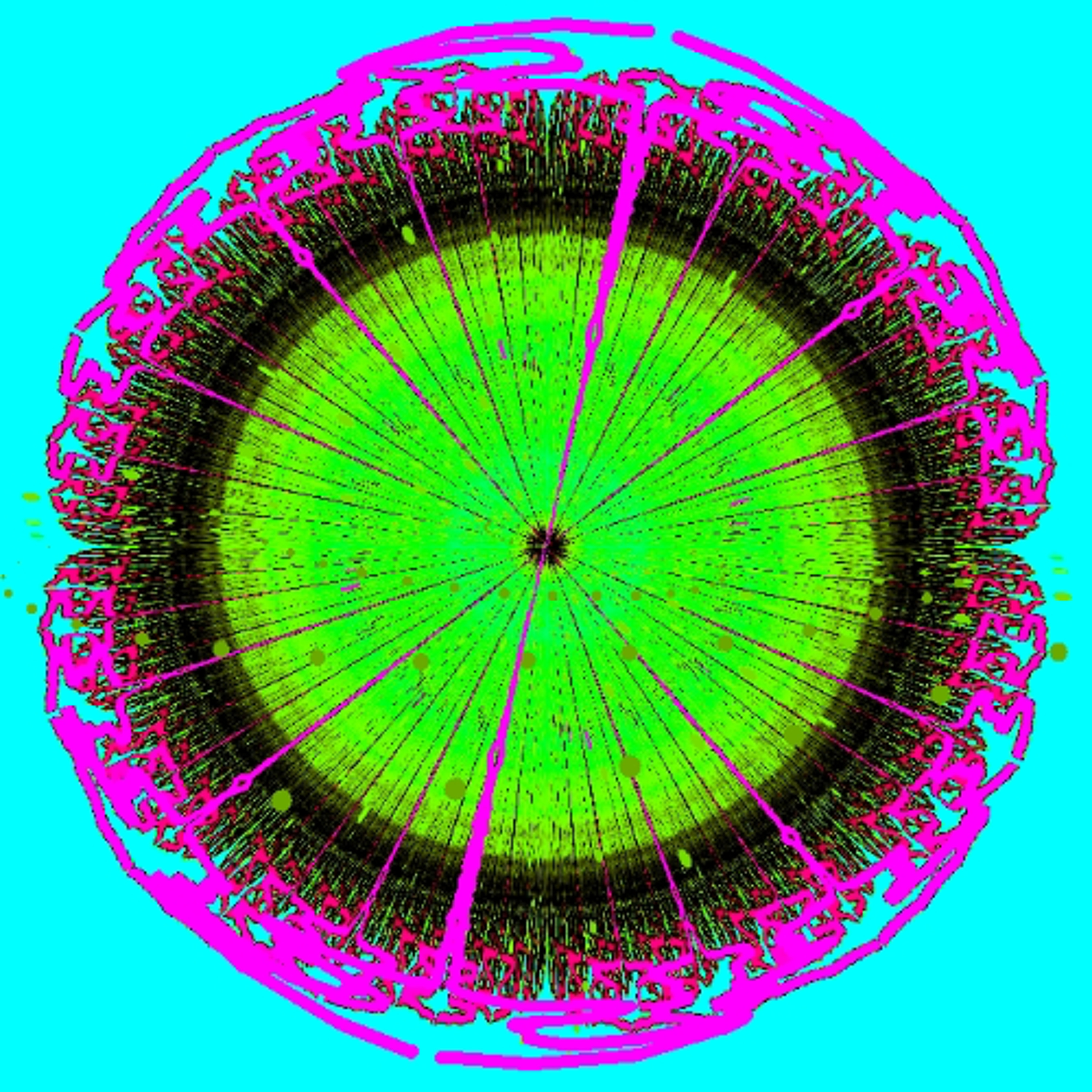 PLATO No. 11012 Word Tuning episode artwork
