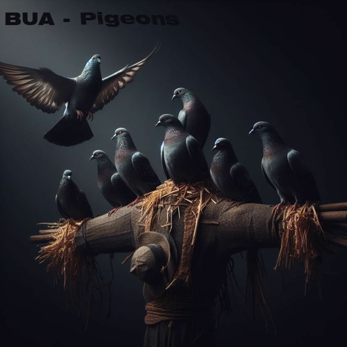 Pigeons :)