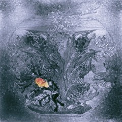 PREMIERE: Fluid Matter - Jagged Peaks [Syrinx Music]