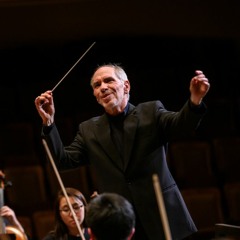 Nielsen - Symphony No.2, Op.16 > I. Allegro Collerico