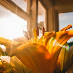 You Make The Sunshine