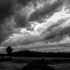 Seclusion Loop