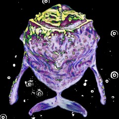Deep Space Whale
