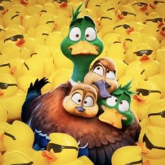 Ptáci stěhováci - Celý Film | cz dabing i titulky 1080p