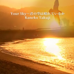 Your Sky～君の空は晴れているか