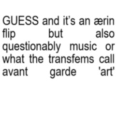 Charli XCX - Guess (ærin's this is what the dolls call "music" flip)