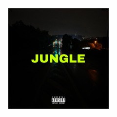Jungle (prod.enkay)