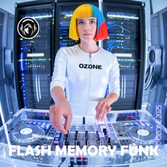FLASH MEMORY FUNK
