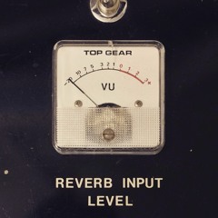 JUNGLE - ANIMAL SHIVERS