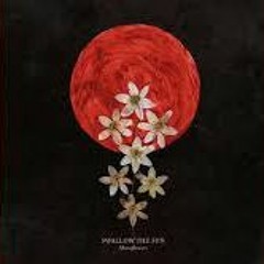 Swallow The Sun - Moonflowers Bloom In Misery